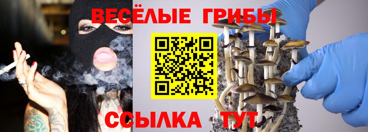 Галлюциногенные грибы GOLDEN TEACHER  Вход с VPN  Каменка 